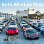 Georgia Auto Window Tinting Laws