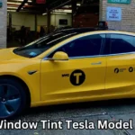 Window Tint Tesla Model 3