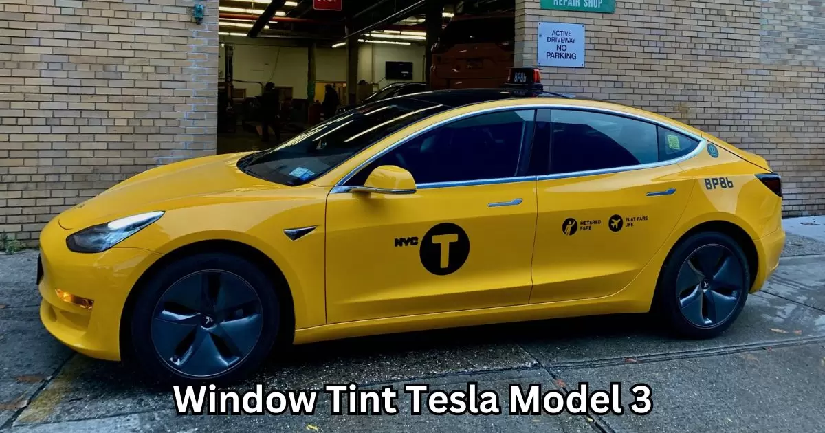 Window Tint Tesla Model 3