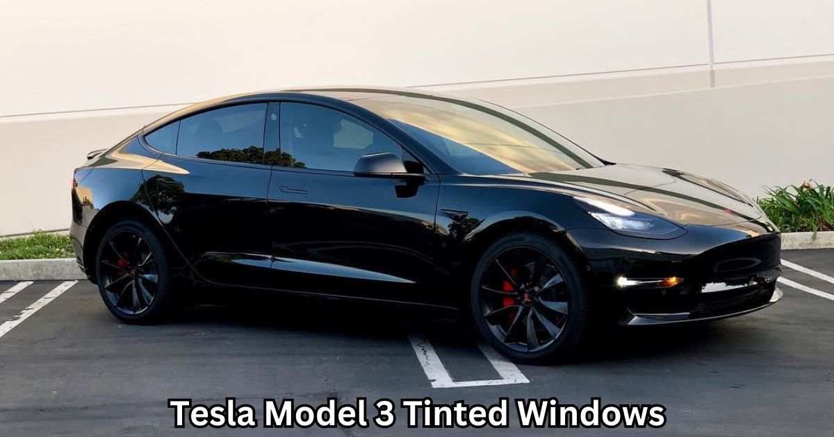 Tesla Model 3 Tinted Windows