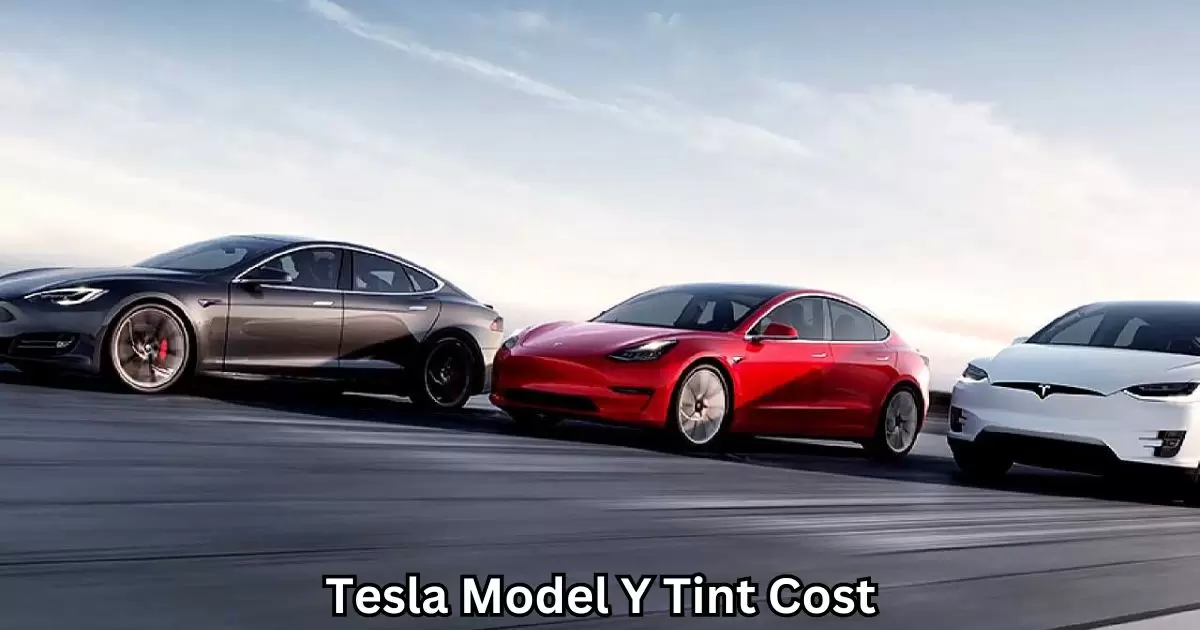 Tesla Model Y Tint Cost